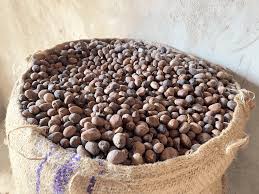 Organic SheaNut